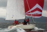pandanova k1092t whw12 wed gjmc 2539